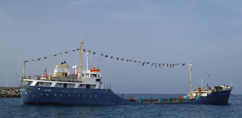 SINDACO MALVITO V. Tanker IMO 5080093 photo 10