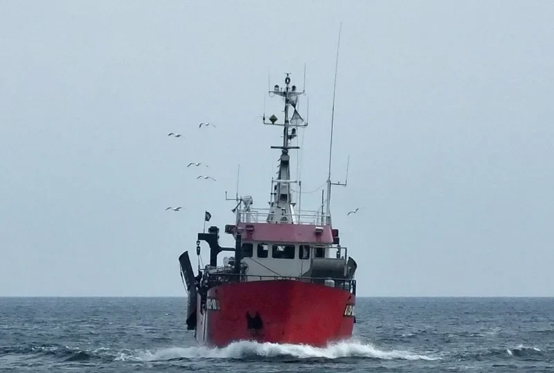 DZI 102 General Cargo IMO 5086700