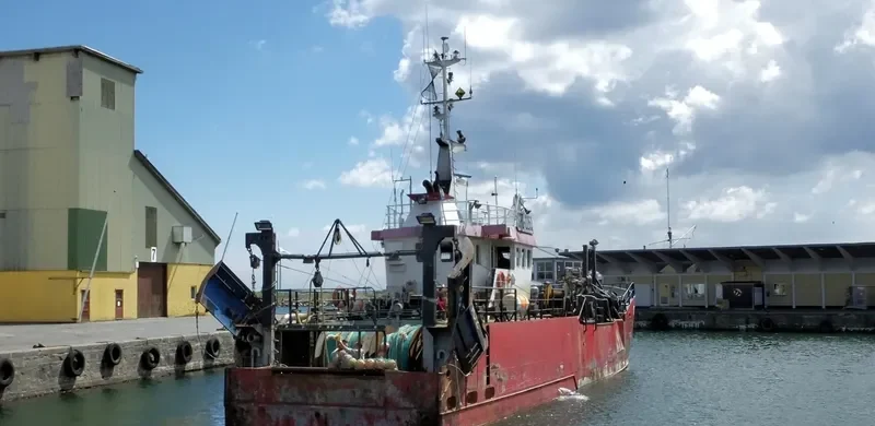 DZI 102 General Cargo IMO 5086700 photo 3