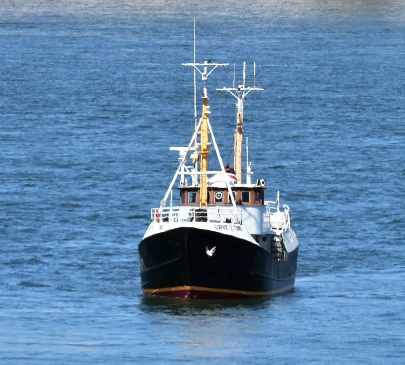 CURVE OF TIME General Cargo IMO 5087338 photo 5