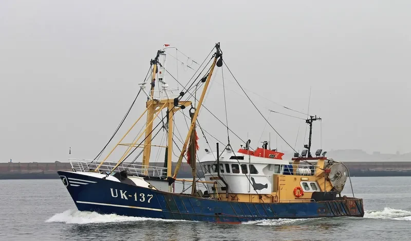 DEO VOLENTE General Cargo IMO 5088813