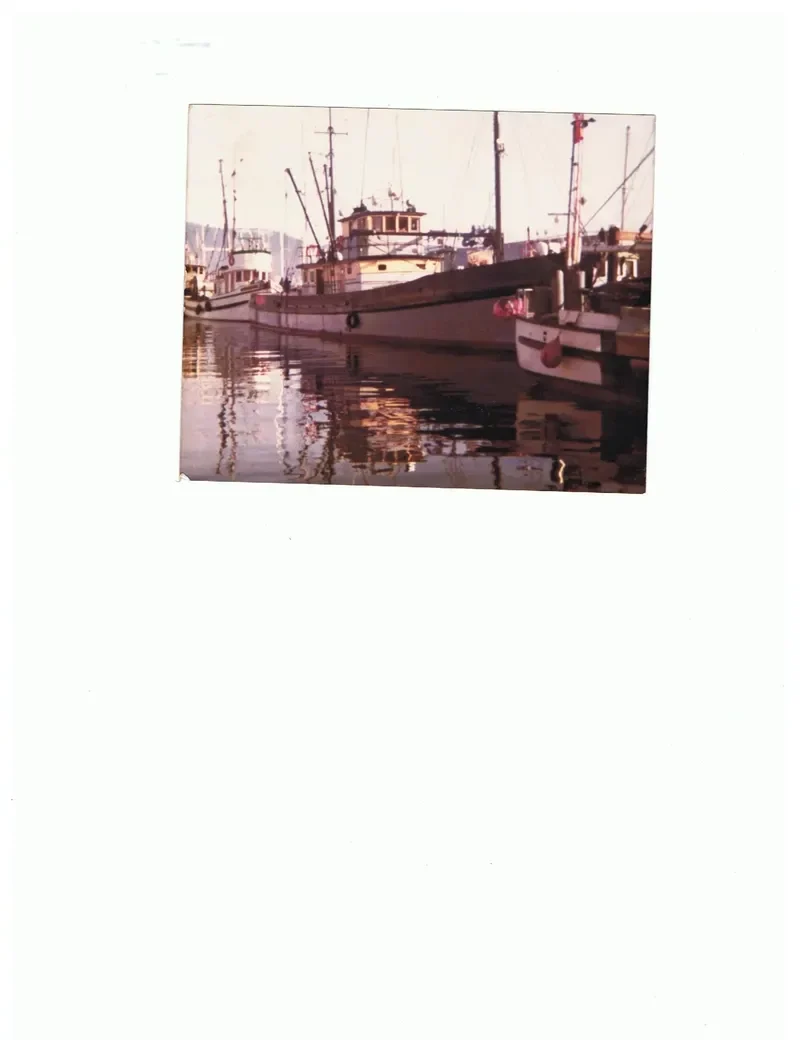 DEREK TODD General Cargo IMO 5088899