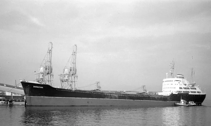 DOLMATOVO Bulk Carrier IMO 5091626
