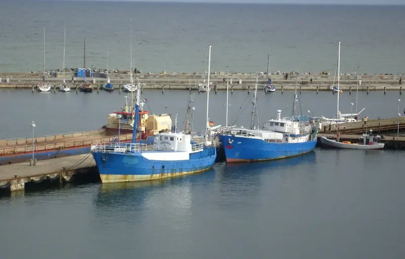 DORNHAI General Cargo IMO 5093002