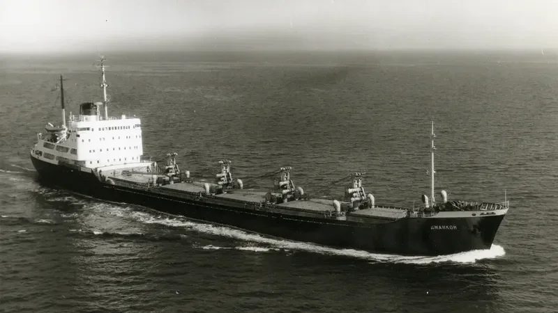 DZHANKOY Bulk Carrier IMO 5095397