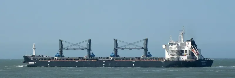 ALKYONA STAR General Cargo IMO 5097204