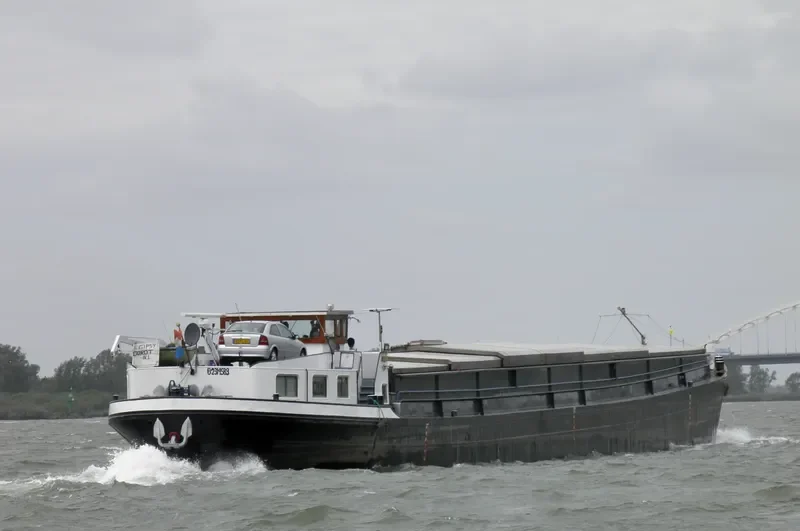GIPSY Bulk Carrier IMO 5098181