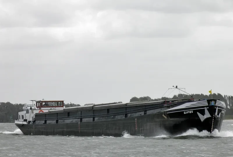 GIPSY Bulk Carrier IMO 5098181 photo 2