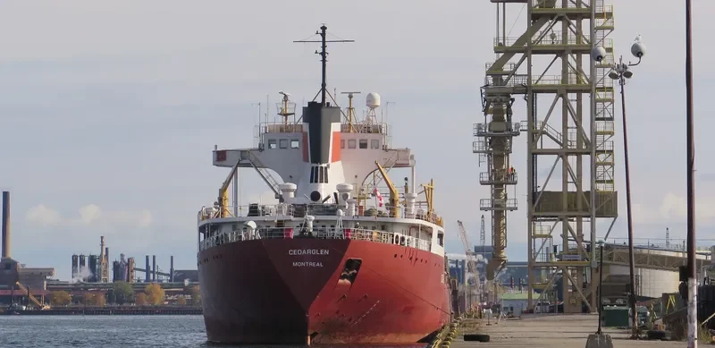 CEDARGLEN Bulk Carrier IMO 5103974 photo 2