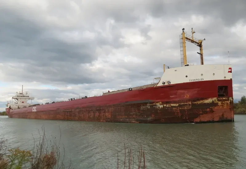 CEDARGLEN Bulk Carrier IMO 5103974 photo 4