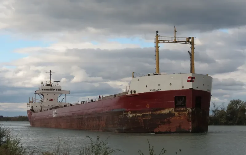 CEDARGLEN Bulk Carrier IMO 5103974 photo 5