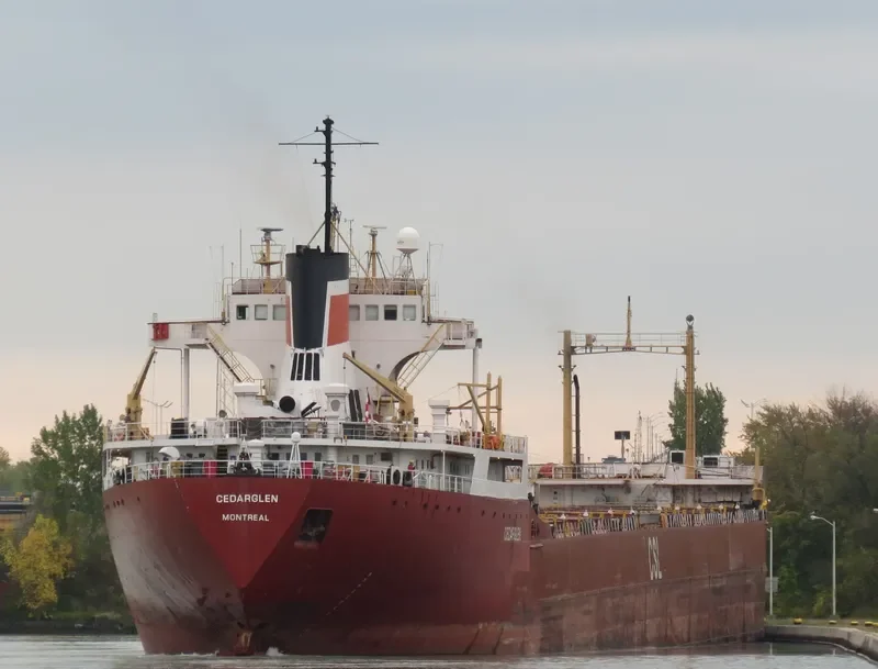 CEDARGLEN Bulk Carrier IMO 5103974 photo 6