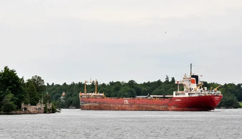 CEDARGLEN Bulk Carrier IMO 5103974 photo 9