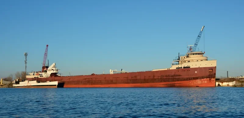 AMERICAN FORTITUDE Bulk Carrier IMO 5105843 photo 3