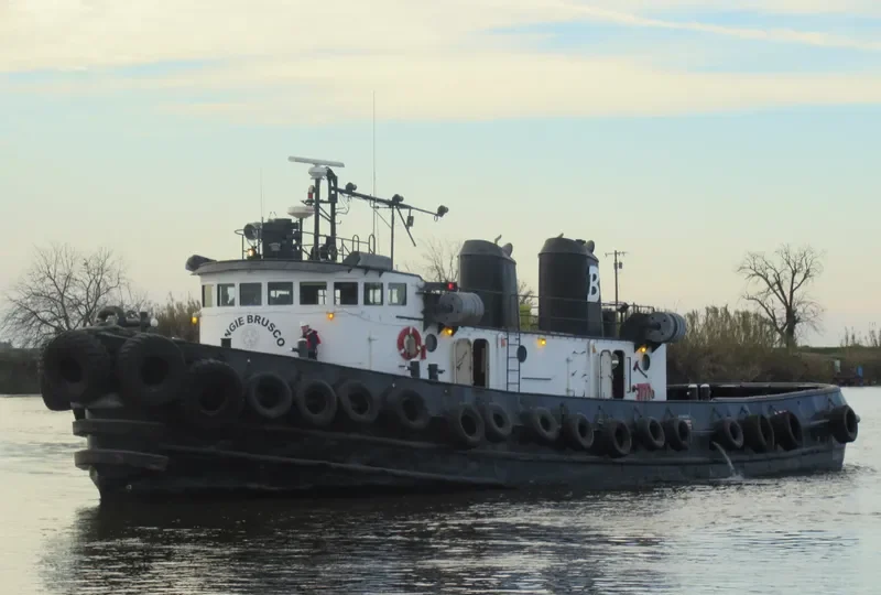 ANGIE M.BRUSCO General Cargo IMO 5111359 photo 9