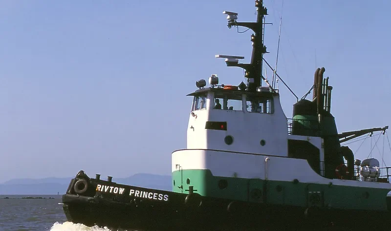 RIVER PRINCESS General Cargo IMO 5113163 photo 3