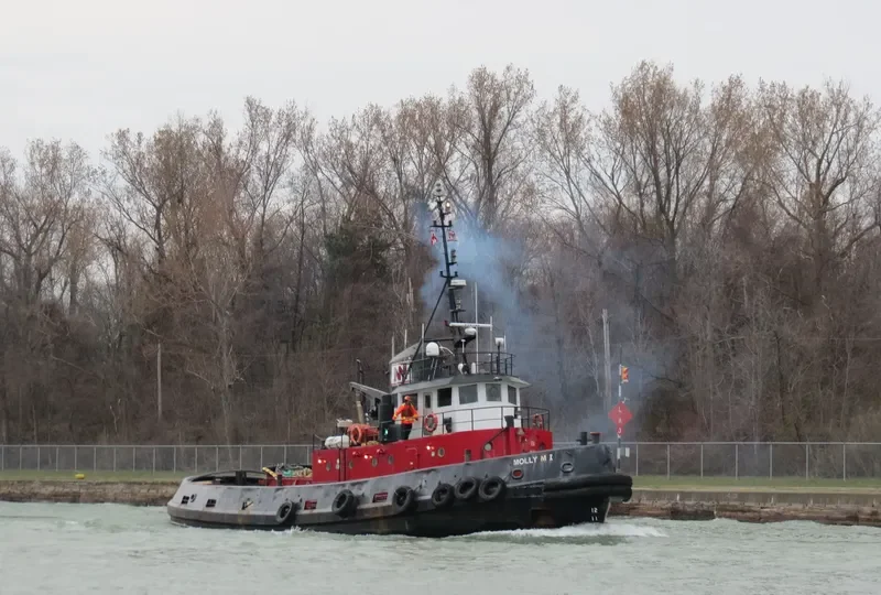 MOLLY M I General Cargo IMO 5118838 photo 7