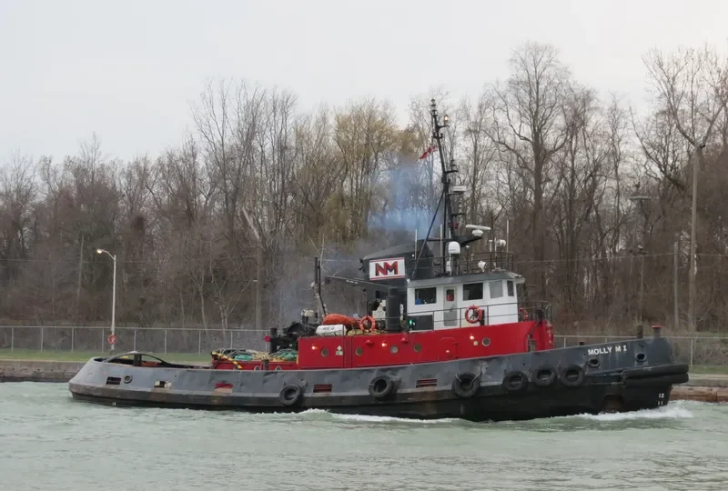 MOLLY M I General Cargo IMO 5118838 photo 8