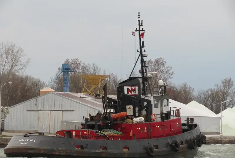 MOLLY M I General Cargo IMO 5118838 photo 10