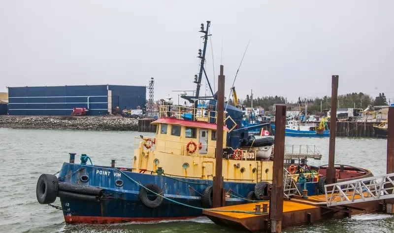 POINT VIM General Cargo IMO 5118852 photo 2