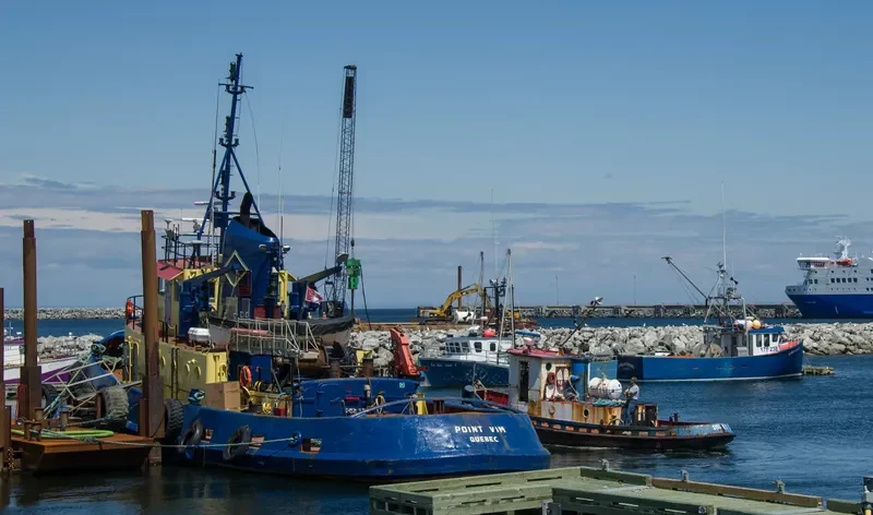 POINT VIM General Cargo IMO 5118852 photo 3