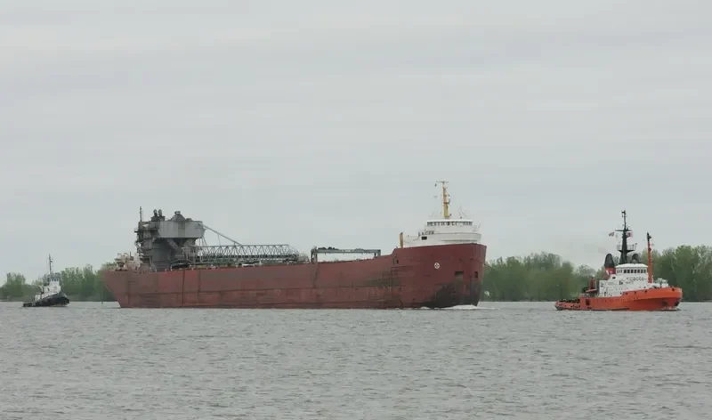HALIFAX Bulk Carrier IMO 5120075 photo 3