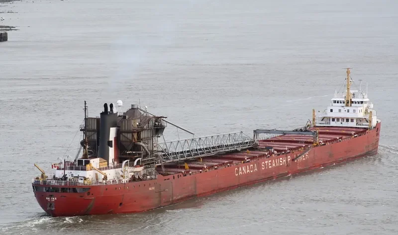 HALIFAX Bulk Carrier IMO 5120075 photo 4