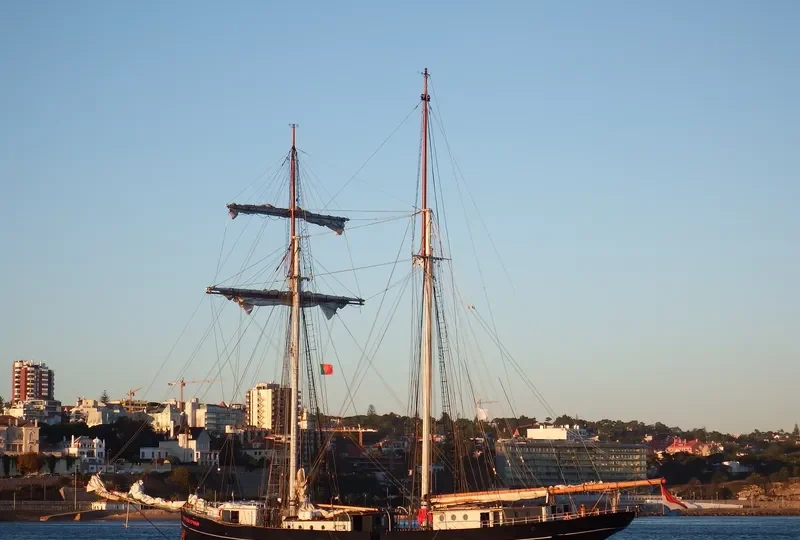 WYLDE SWAN General Cargo IMO 5126718 photo 2
