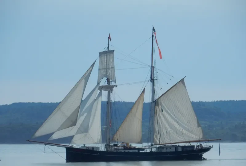 WYLDE SWAN General Cargo IMO 5126718 photo 5