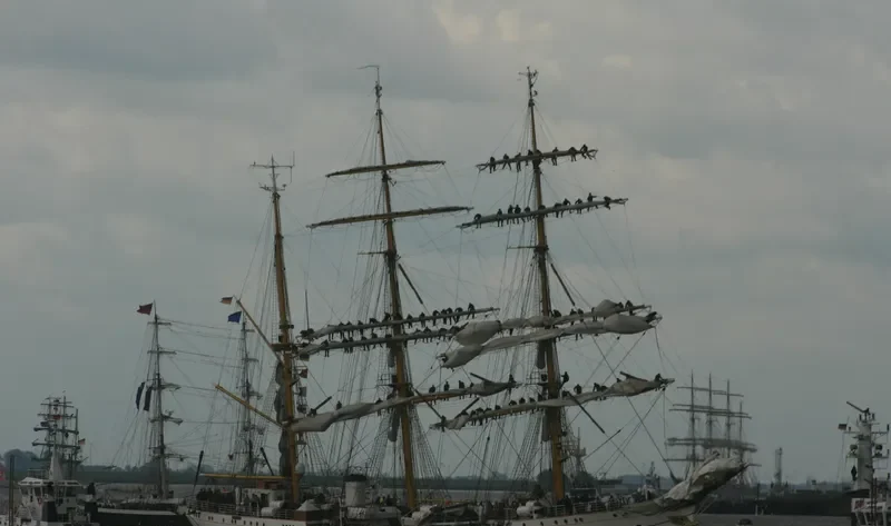 GORCH FOCK General Cargo IMO 5133644 photo 4