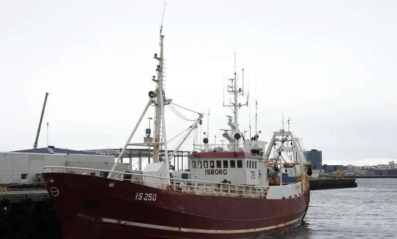 ISBORG General Cargo IMO 5139650 photo 6