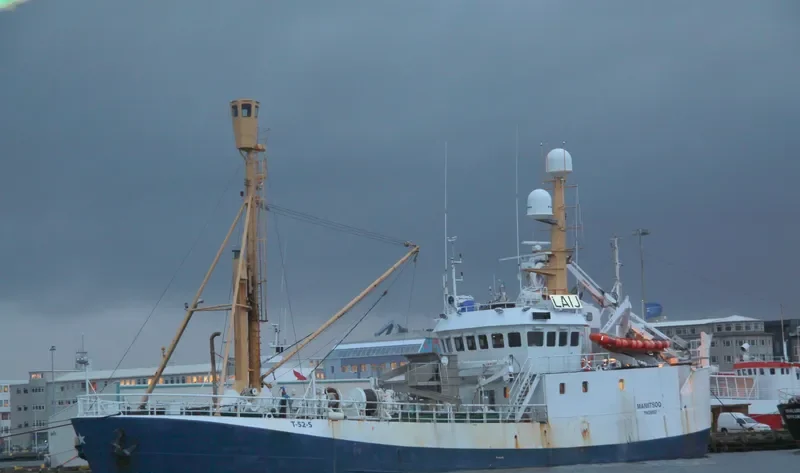 MANIITSOQ General Cargo IMO 5142970 photo 4