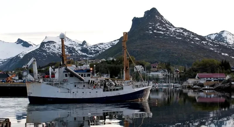 MANIITSOQ General Cargo IMO 5142970 photo 8