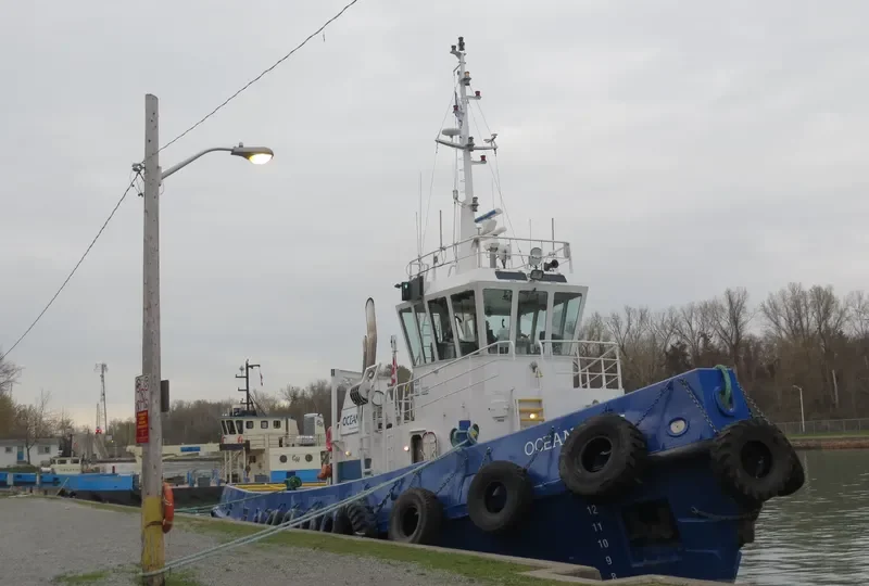 OCEAN GOLF General Cargo IMO 5146354 photo 5