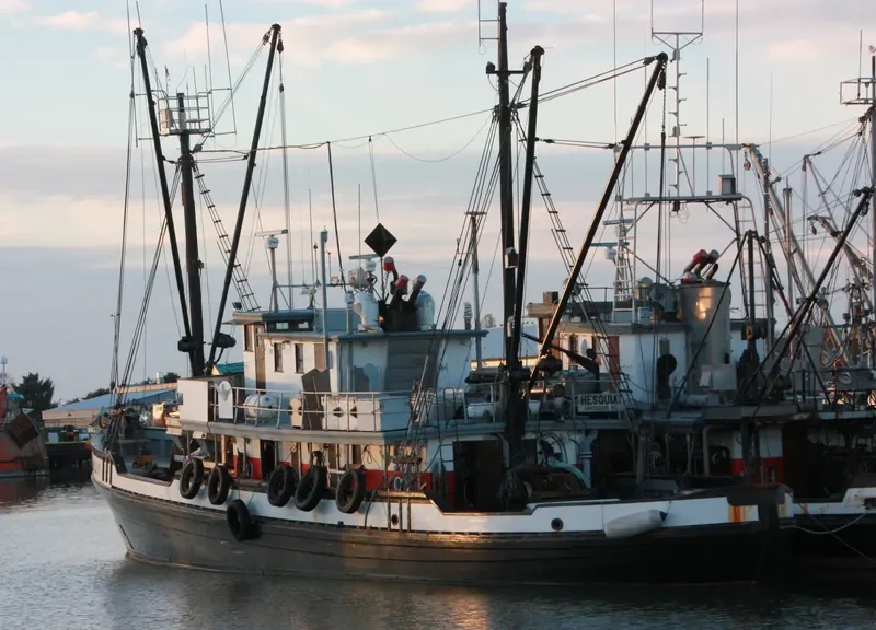 HESQUIAT General Cargo IMO 5149825 photo 6
