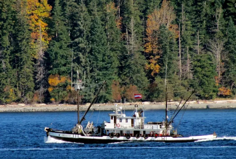 HESQUIAT General Cargo IMO 5149825 photo 9