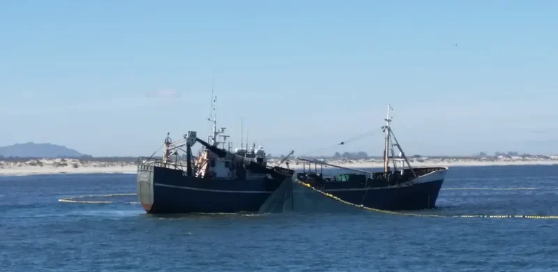 LISA ANN General Cargo IMO 5151971