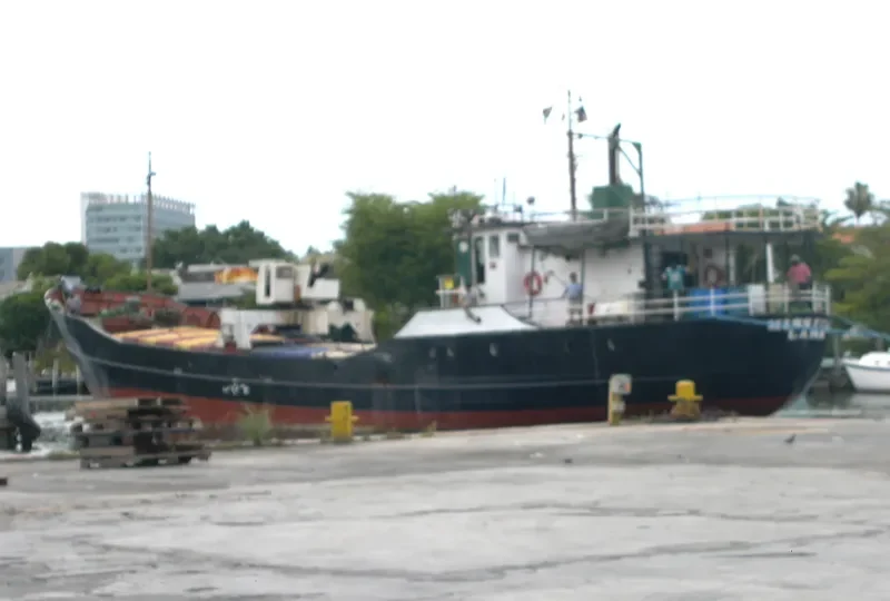 OUR LADY OF MERCY General Cargo IMO 5167566 photo 2