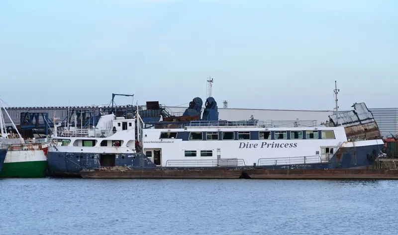 DIVE PRINCESS Passenger Ship IMO 5173046