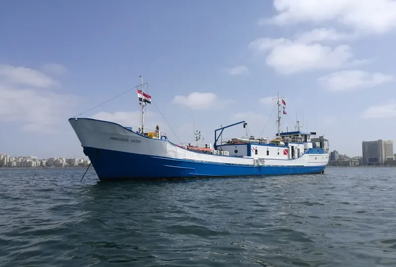 PRINCESS DUDA General Cargo IMO 5206207