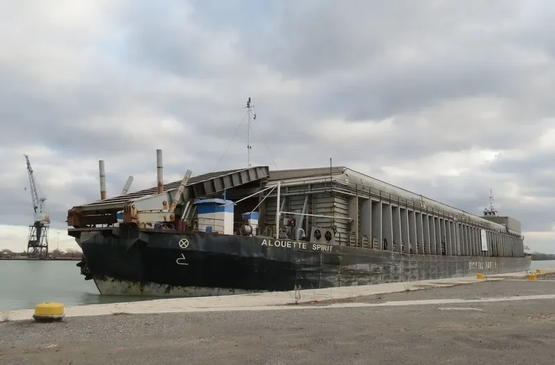 WILF SEYMOUR General Cargo IMO 5215789 photo 8