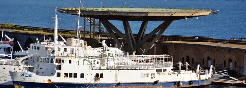 ALA Ro-Ro IMO 5217555