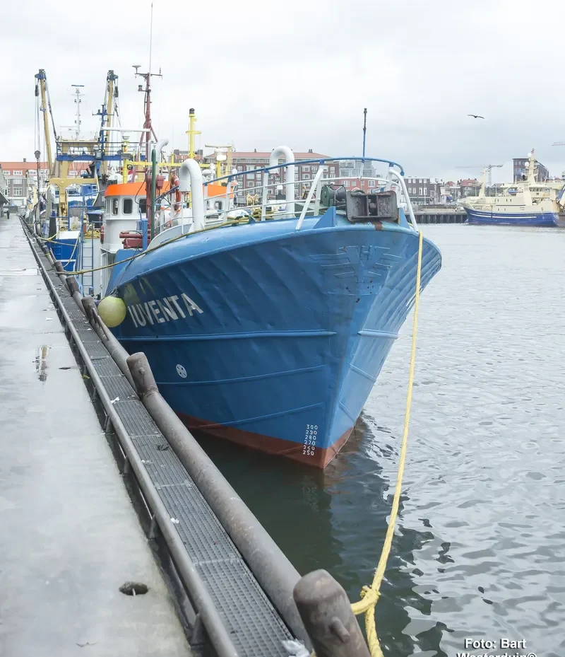 IUVENTA General Cargo IMO 5222354 photo 2