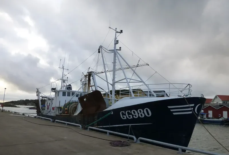 DANAFJORD General Cargo IMO 5225497
