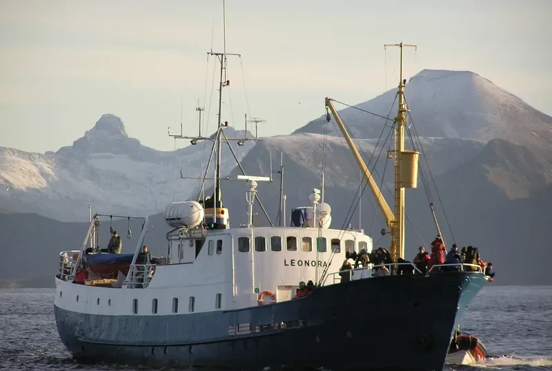GAMLE MAROY Passenger Ship IMO 5226221 photo 6