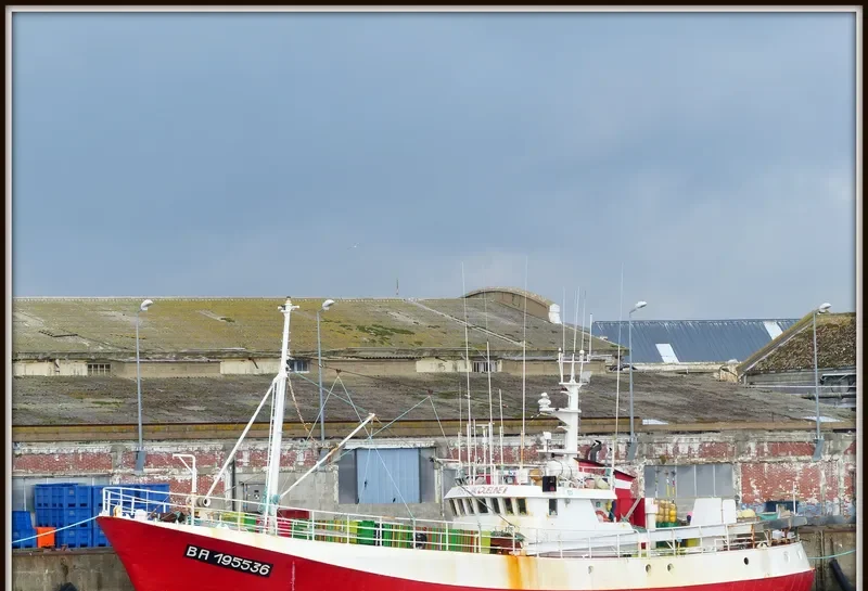 MISS JACQUELINE 2 General Cargo IMO 5227940 photo 5