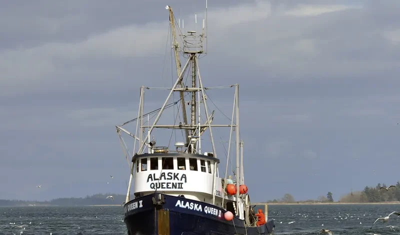 ALASKA QUEEN II General Cargo IMO 5232907 photo 3