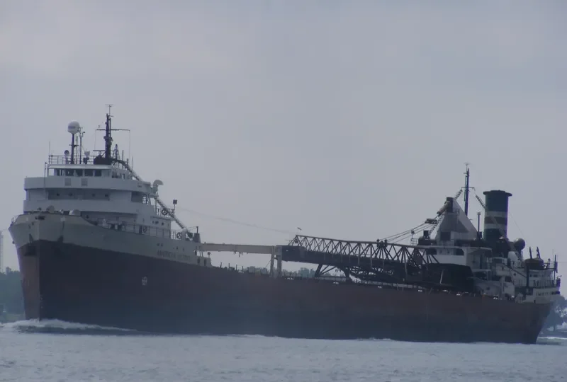 AMERICAN VICTORY Bulk Carrier IMO 5234395 photo 10