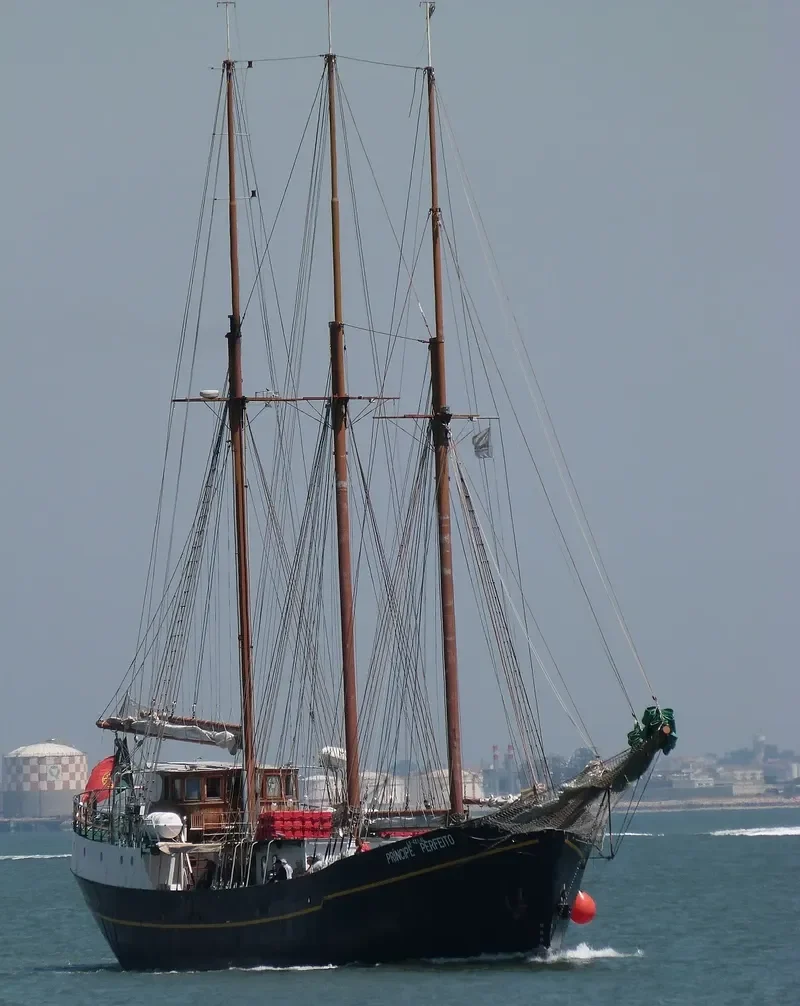 PRINCIPE PERFEITO General Cargo IMO 5239931 photo 2