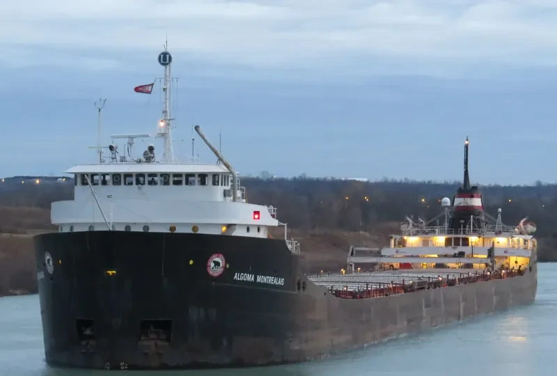 ALGOMA MONTREALAIS Bulk Carrier IMO 5241142 photo 4